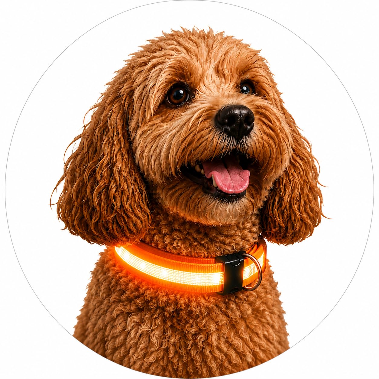 ONYXX Electronics LED Dog Collar, Light Up Reflective Dog Collar for Night Walking, Adjustable Safety Collar for Dogs, High Visibility LED Pet Collar, Battery Powered
