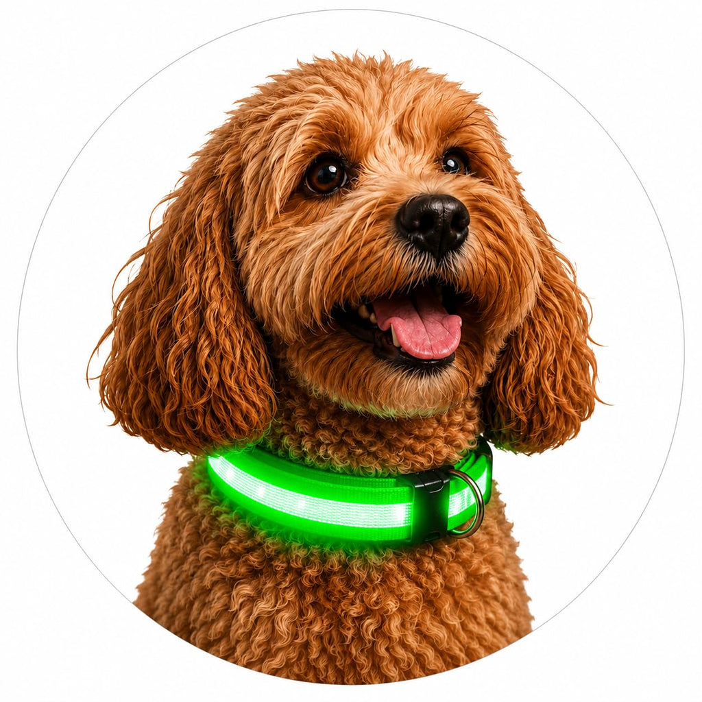 ONYXX Electronics LED Dog Collar, Light Up Reflective Dog Collar for Night Walking, Adjustable Safety Collar for Dogs, High Visibility LED Pet Collar, Battery Powered