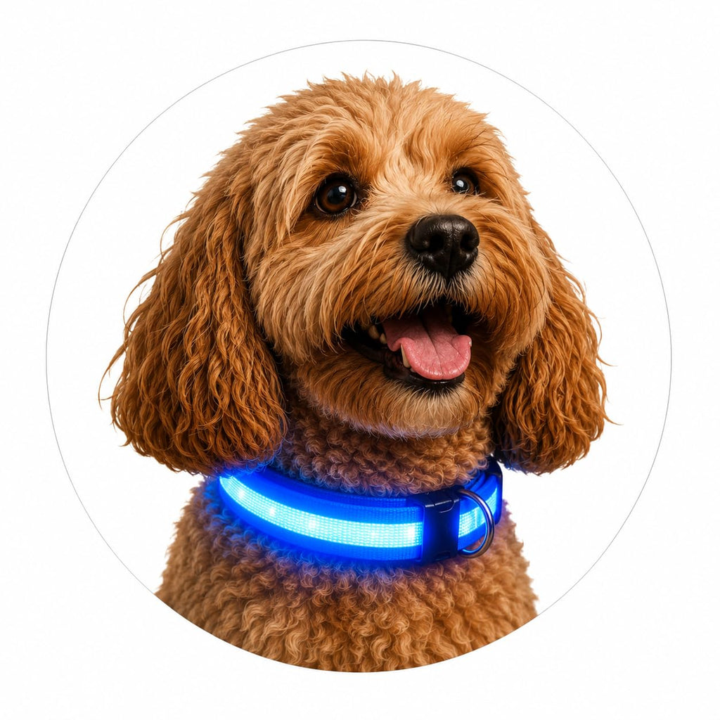 ONYXX Electronics LED Dog Collar, Light Up Reflective Dog Collar for Night Walking, Adjustable Safety Collar for Dogs, High Visibility LED Pet Collar, Battery Powered